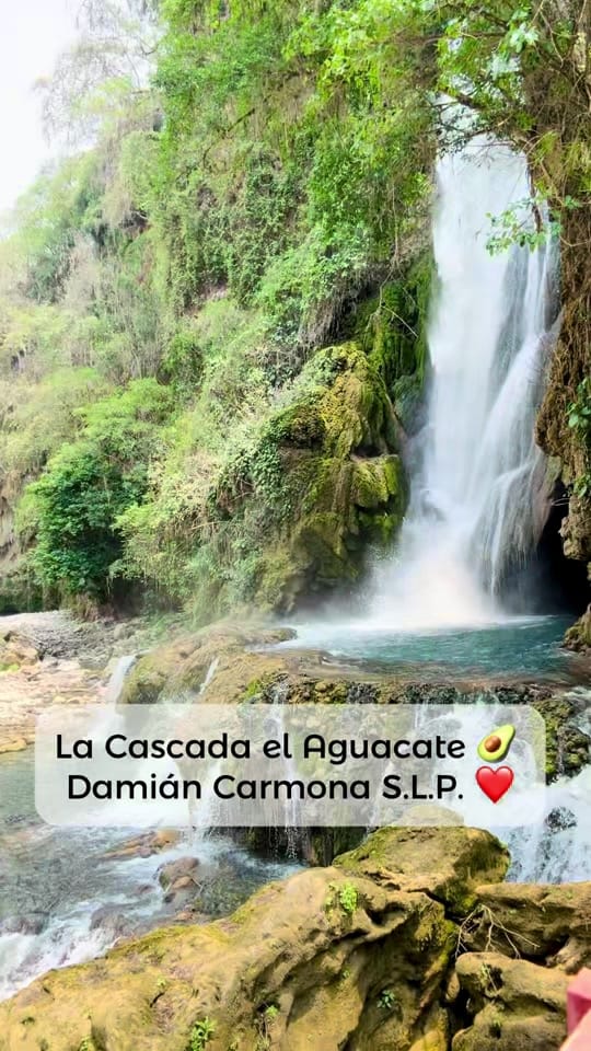 Post 9 by Gina de Vallarta on TikTok (video)