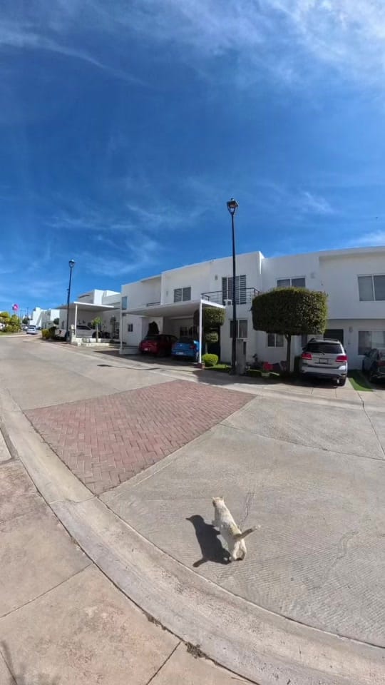 Post 1 by Guanajuato Property on TikTok (video)