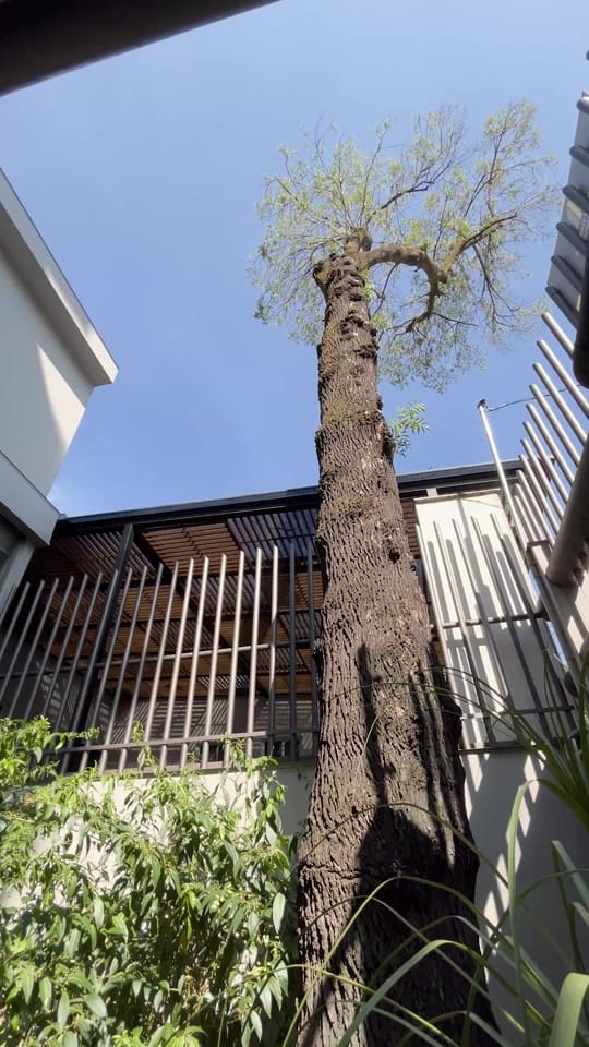 Post 4 by Luxury Habitat Real Estate on TikTok (video)