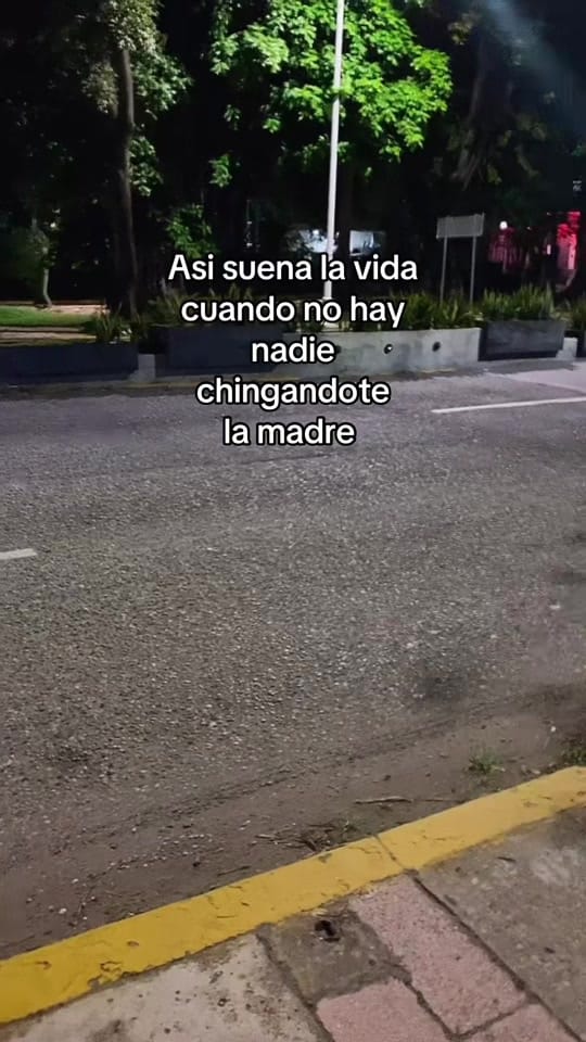 Post 7 by AngeloContreras on TikTok (video)