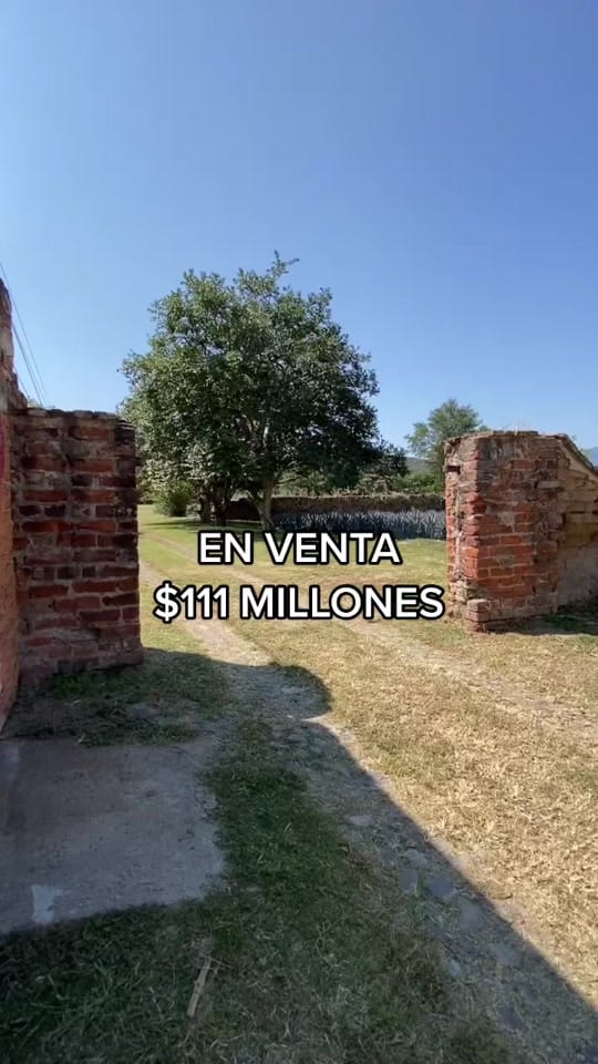 Post 6 by Morquecho Hess Group on TikTok (video)