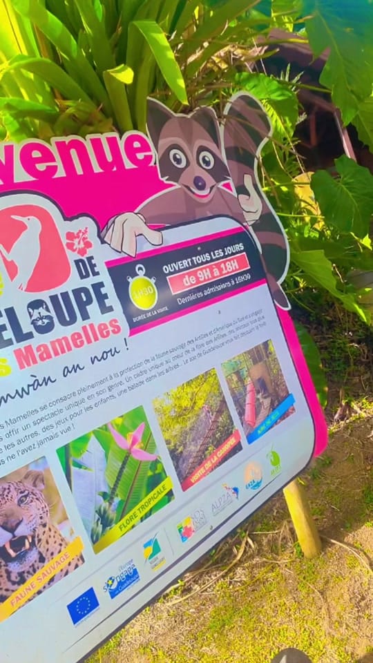 Post 7 by DrD.Daniel conseil 🇨🇮🇫🇷 on TikTok (video)