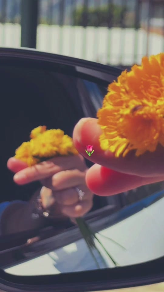 Post 1 by Jazmin Solano on TikTok (video)