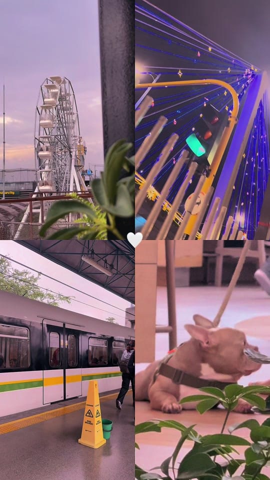 Post 4 by Jazmin Solano on TikTok (video)