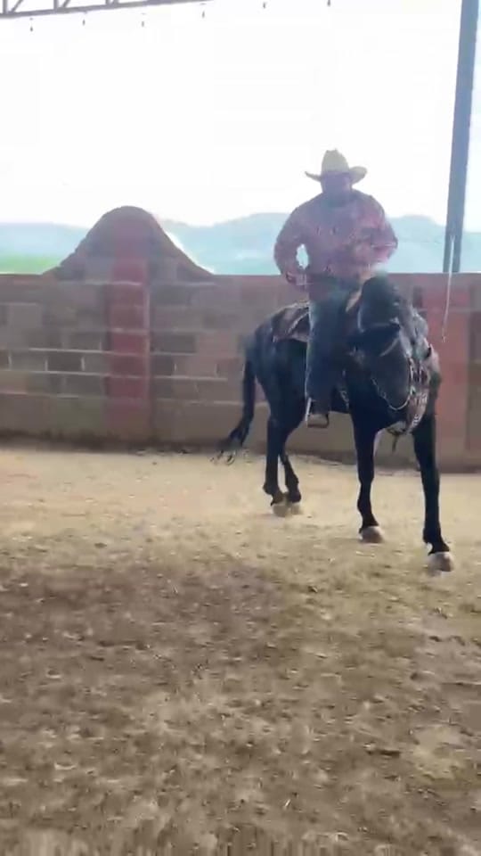 Post 2 by Rober Villaseñor on TikTok (video)