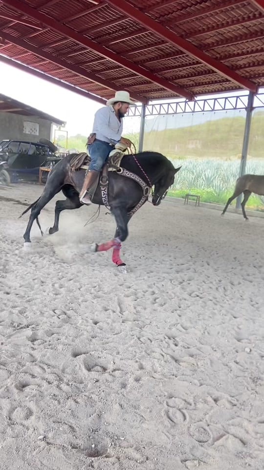 Post 4 by Rober Villaseñor on TikTok (video)