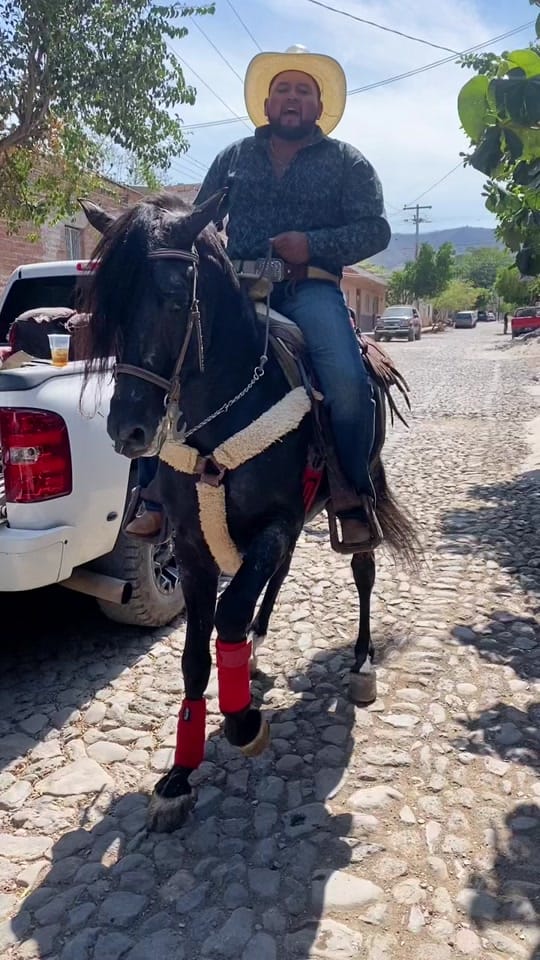 Post 8 by Rober Villaseñor on TikTok (video)