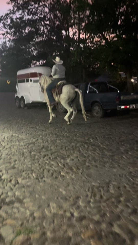 Post 3 by Rober Villaseñor on TikTok (video)