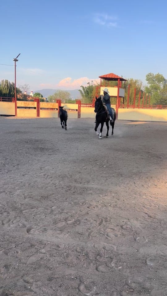 Post 5 by Rober Villaseñor on TikTok (video)