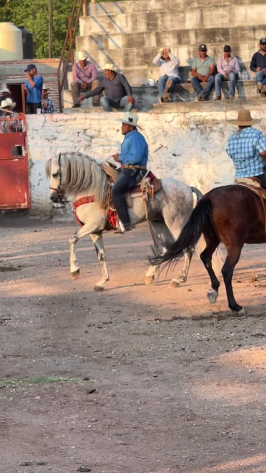 Post 7 by Rober Villaseñor on TikTok (video)