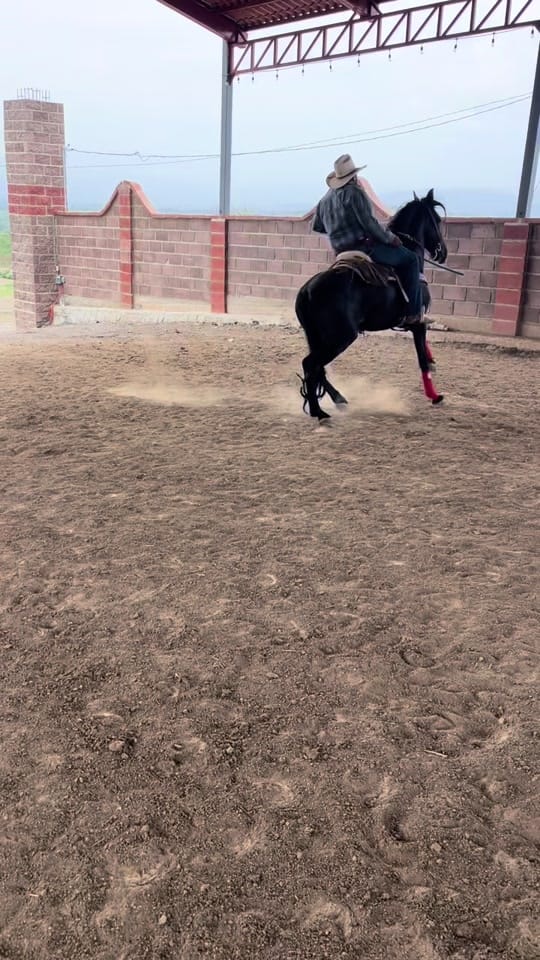Post 6 by Rober Villaseñor on TikTok (video)