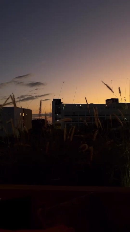 Post 1 by Humberto Resendiz on TikTok (video)