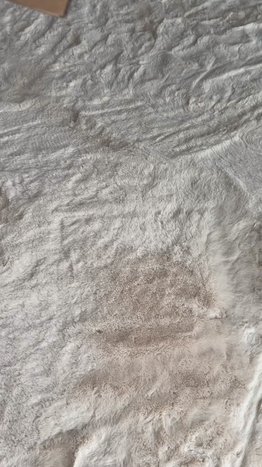 Post 1 by Beglees on TikTok (video)