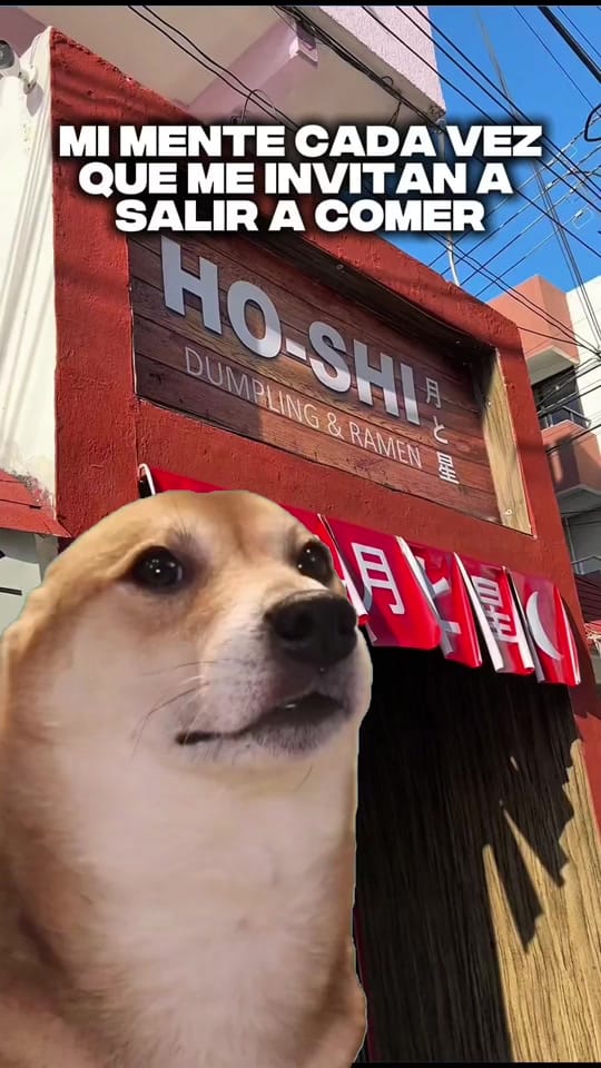 Post 10 by Ho-shi on TikTok (video)