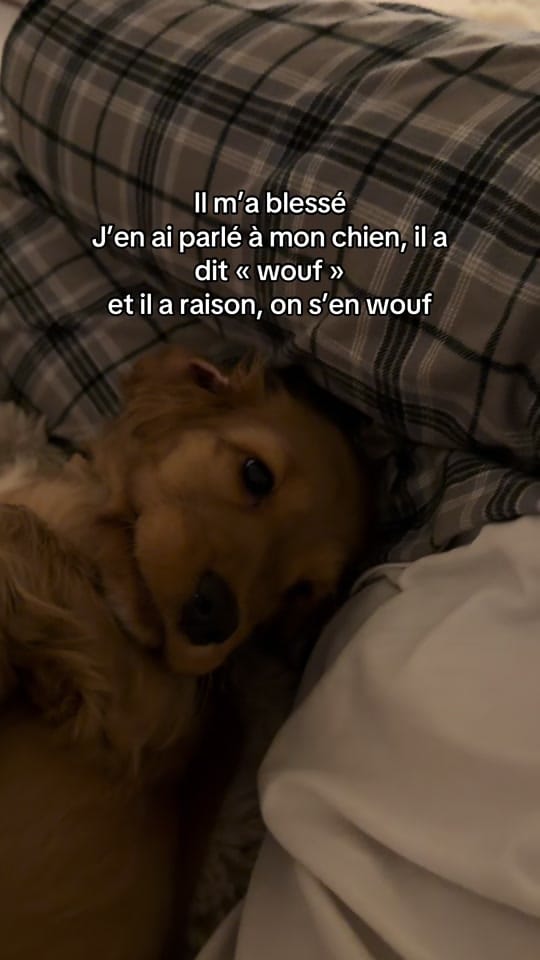 Post 8 by Jeanne on TikTok (video)