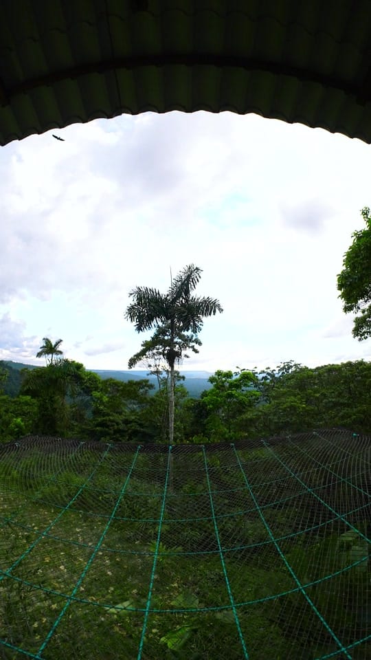 Post 2 by Luz de Luna Glamping on TikTok (video)