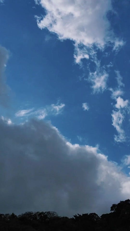 Post 2 by Karla Leon Zuñiga on TikTok (video)