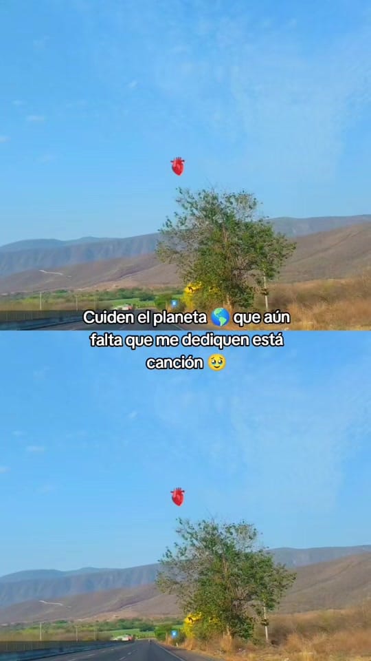 Post 4 by Karla Leon Zuñiga on TikTok (video)