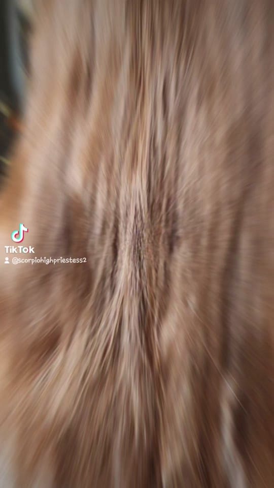 Post 4 by ScorpioHighPriestess2💫👑1🧿? on TikTok (video)