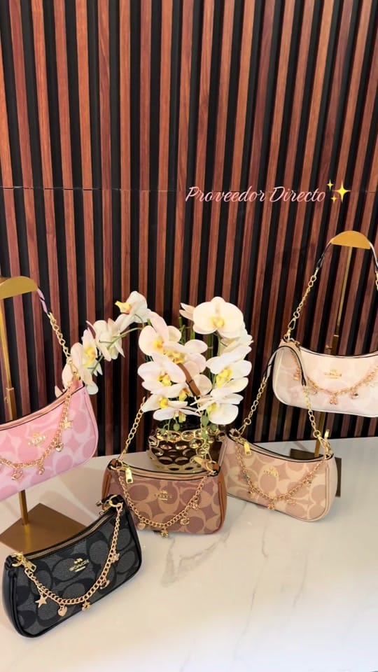 Post 10 by MichelleBoutique on TikTok (video)