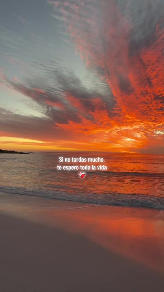 Post 4 by The Kicks on TikTok (video)