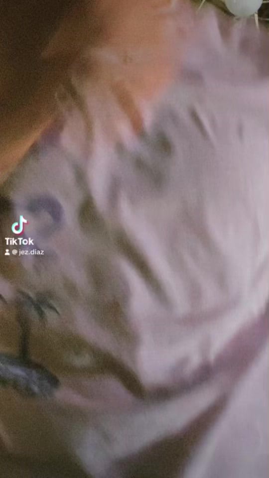 Post 7 by Jez 🕷️🕸️ on TikTok (video)