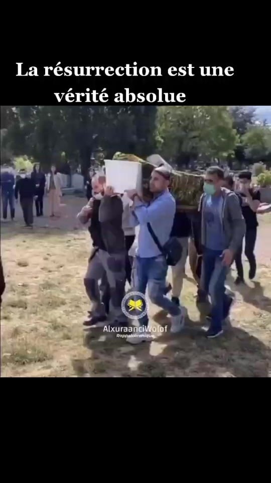 Post 4 by Mody on TikTok (video)