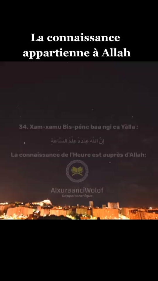 Post 5 by Mody on TikTok (video)