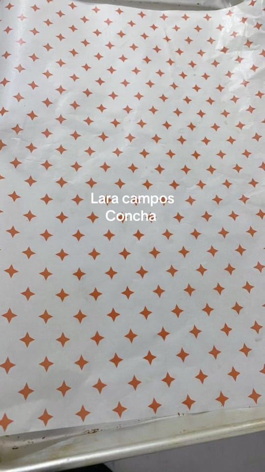 Post 5 by L A R A S 🥐🐢 on TikTok (video)