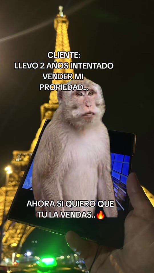 Post 6 by LEON INMOBILIARIO on TikTok (video)