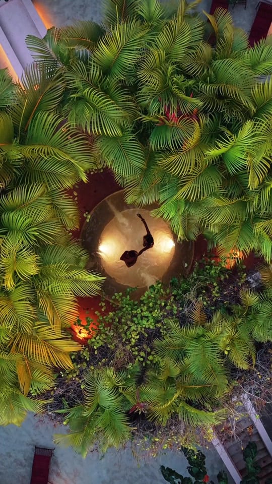 Post 2 by Babel Tulum on TikTok (video)
