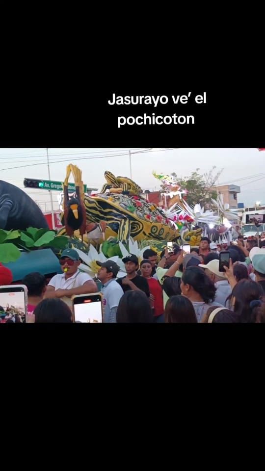 Post 4 by Reyna Luna Arcia on TikTok (video)