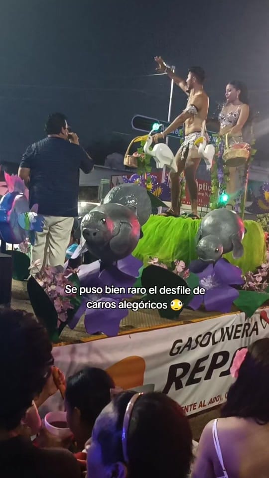 Post 9 by Reyna Luna Arcia on TikTok (video)