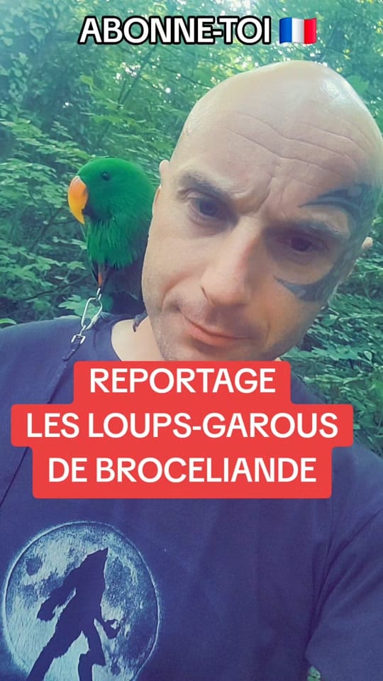 Post 6 by Loup-Garou France on TikTok (video)