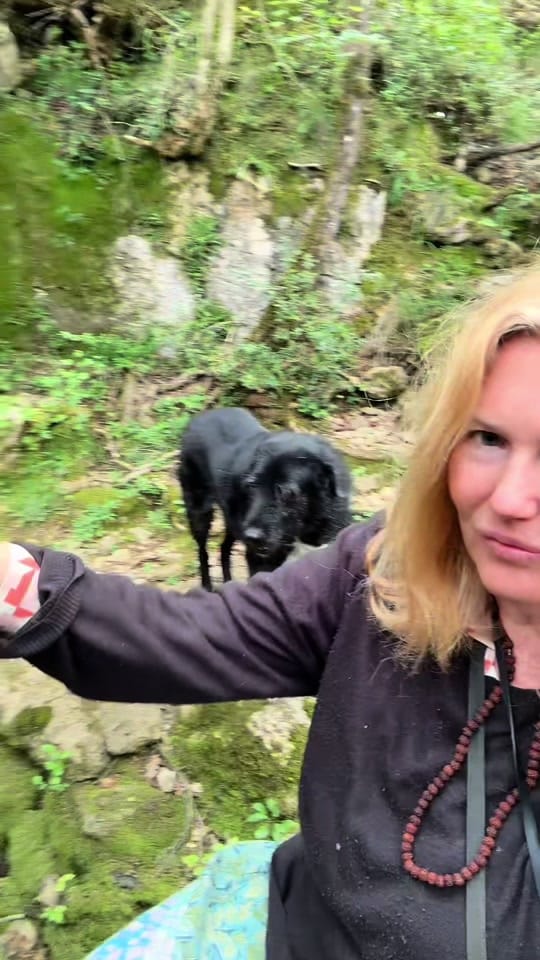 Post 2 by Woo Susie Satya on TikTok (video)