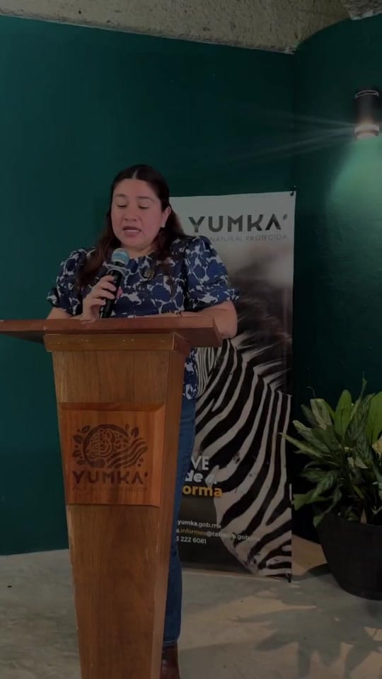 Post 6 by YUMKA ANP on TikTok (video)