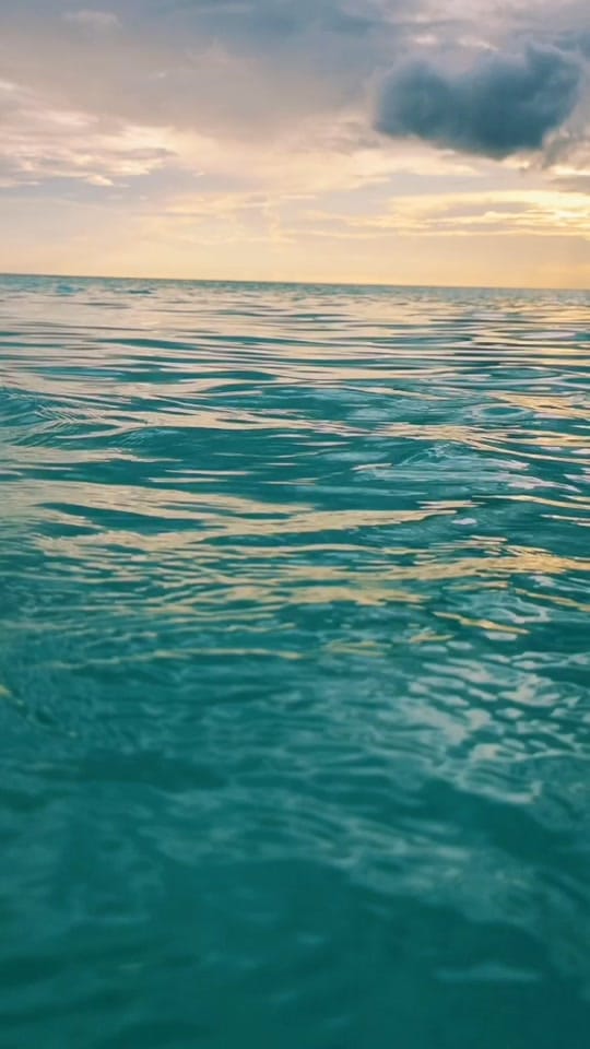 Post 10 by Rubarnett on TikTok (video)