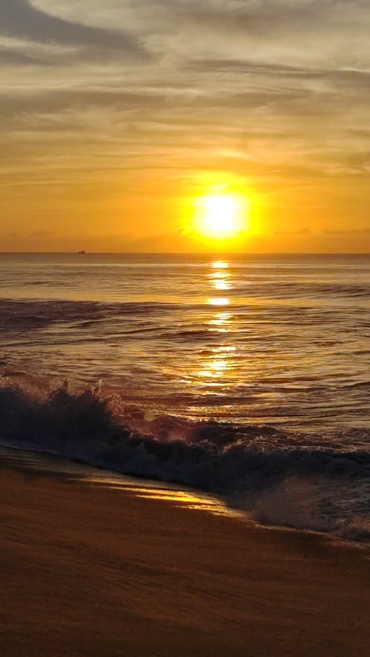 Post 7 by Rubarnett on TikTok (video)
