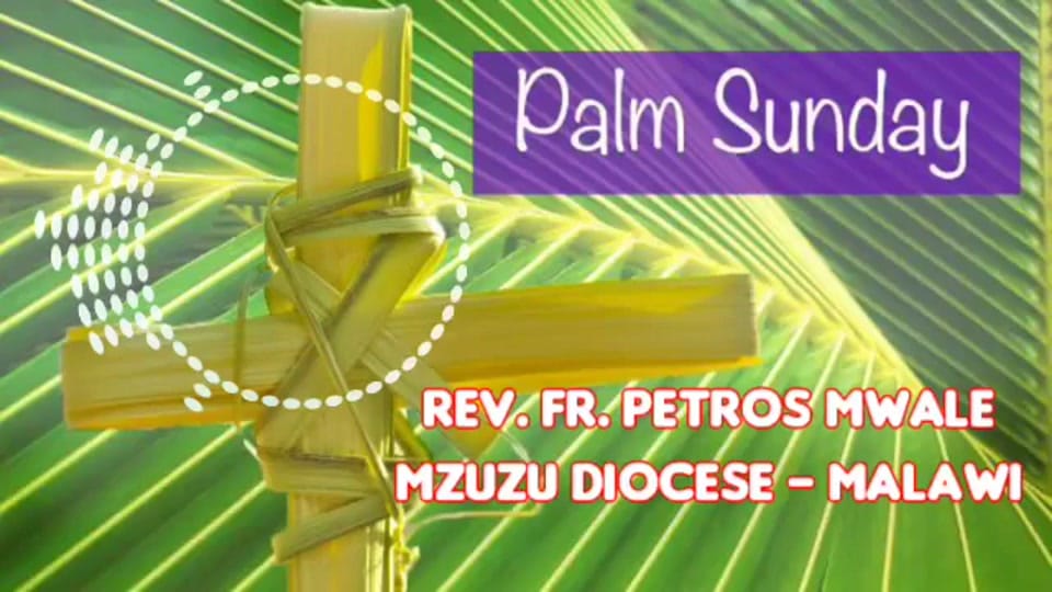 Post 2 by Rev.Fr. Petros Chikayiko Mwale on TikTok (video)