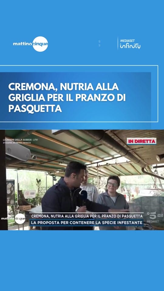 Post 8 by Mattino5 on TikTok (video)