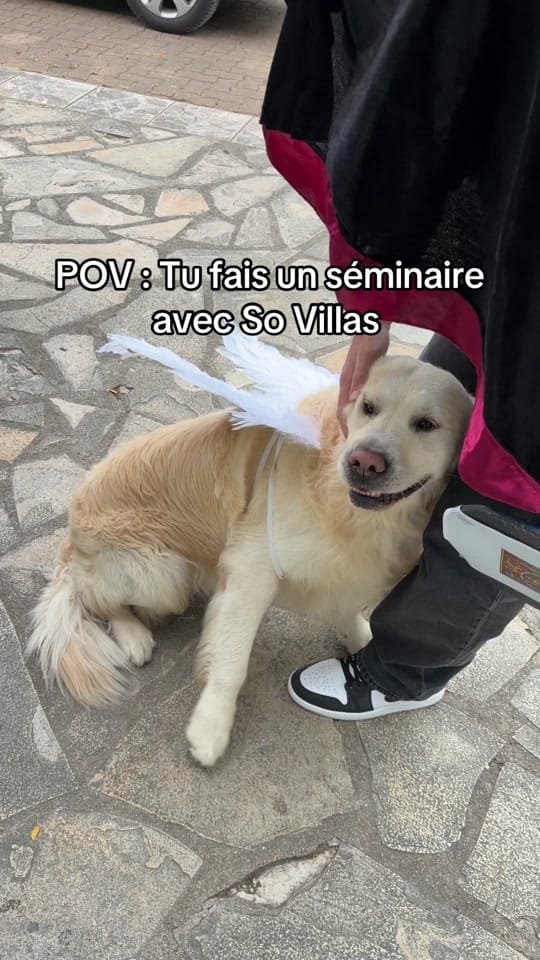 Post 1 by SoVillas on TikTok (video)
