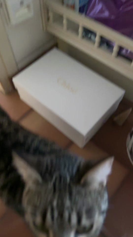 Post 5 by Rachel🌺 on TikTok (video)