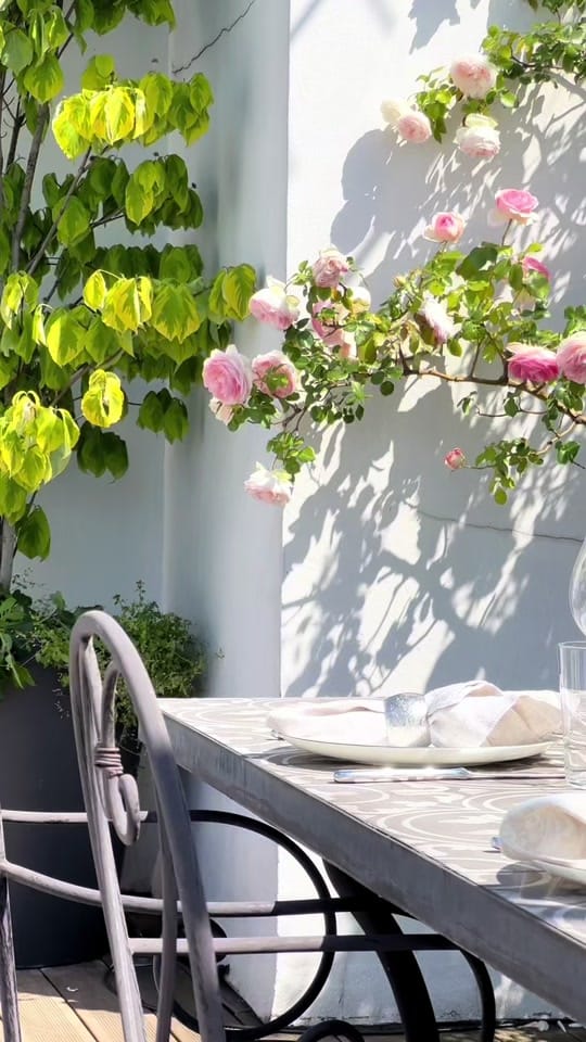 Post 2 by Junot Fine Properties on TikTok (video)