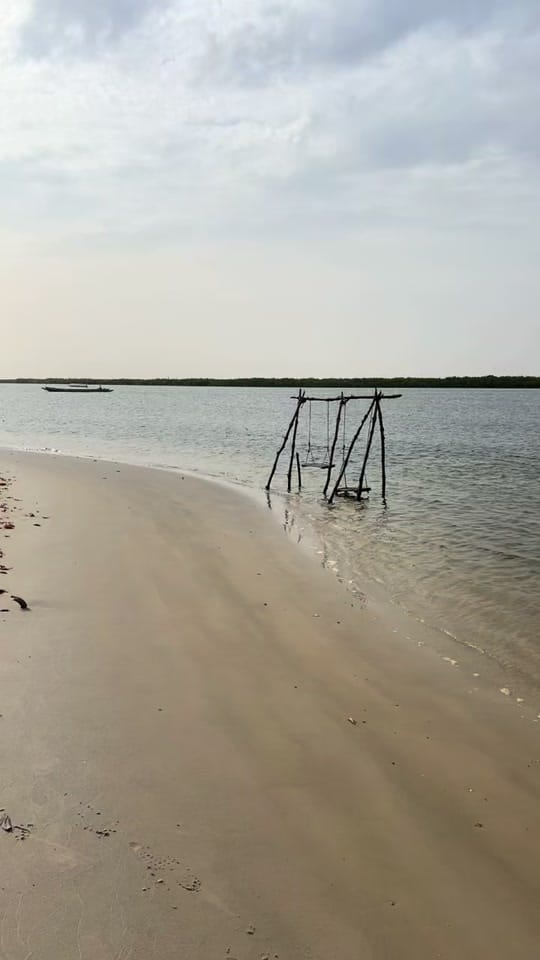 Post 8 by les_niominkas_du_saloum on TikTok (video)
