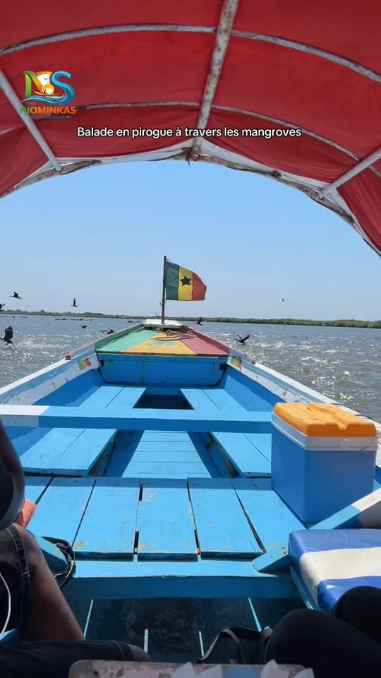 Post 7 by les_niominkas_du_saloum on TikTok (video)