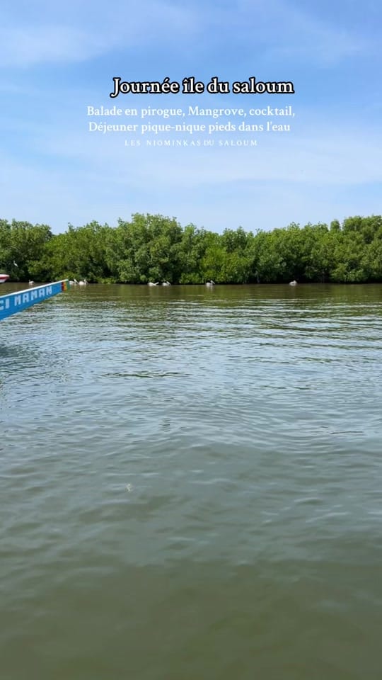 Post 9 by les_niominkas_du_saloum on TikTok (video)