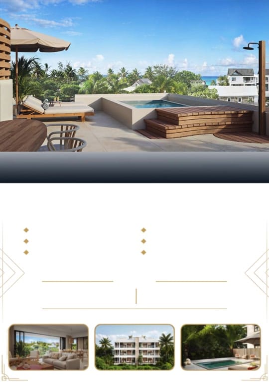 Post 3 by DIP Mauritius 🇲🇺 on TikTok (video)
