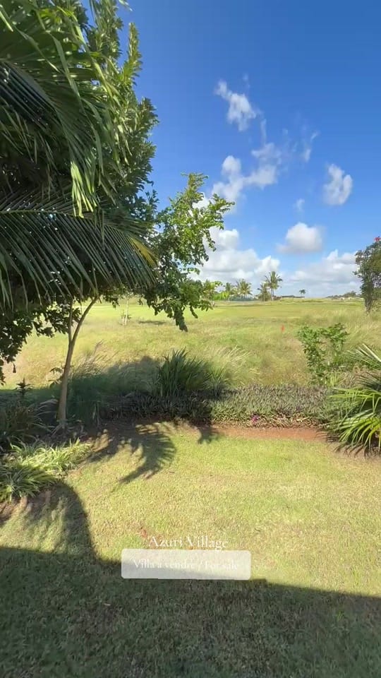 Post 4 by DIP Mauritius 🇲🇺 on TikTok (video)