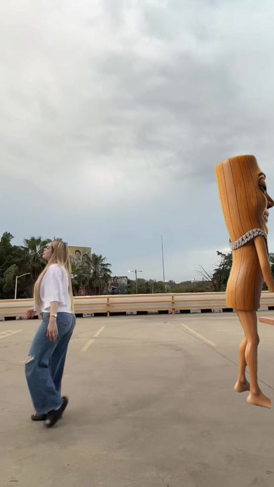 Post 9 by CAMILA SÁNCHEZ on TikTok (video)