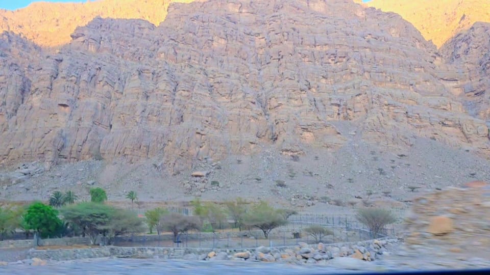 Post 7 by Ami Patel on TikTok (video)